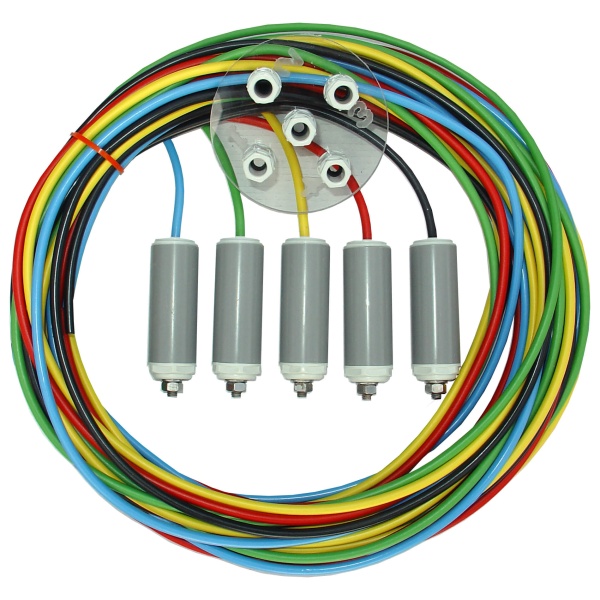 Peraqua iQntrol-N2 Sondenset mit 5 Elektroden