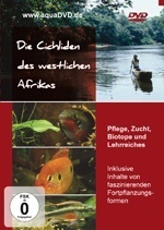 DVD Cichlids of West Africa
