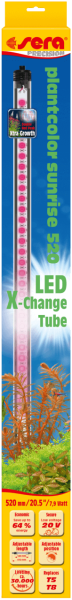 Sera LED X-Change Tube couleur végétale lever du soleil